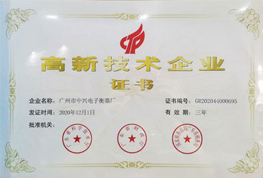 中字-高新技術企業(yè)